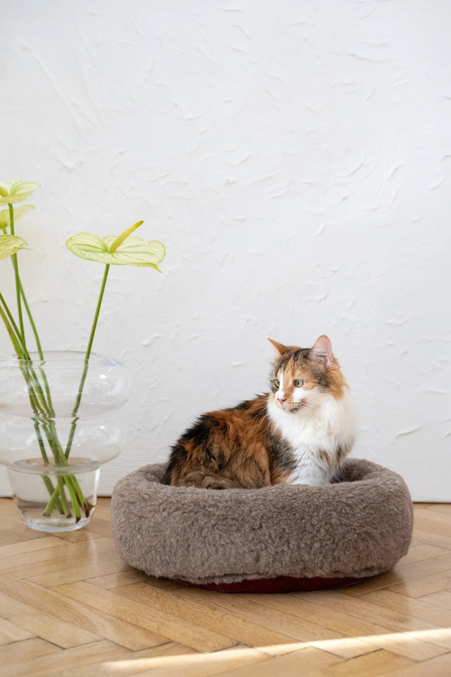 Round Natural Wool Pet Bed - Beige-0