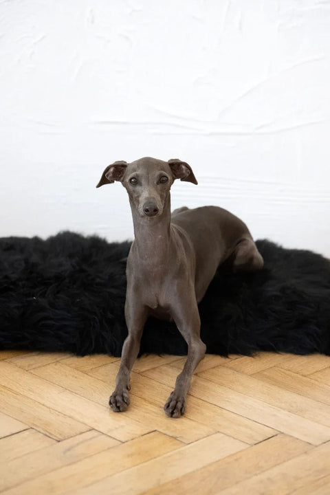 Square or Rectangular Natural Sheepskin Pet Mat - Black-0