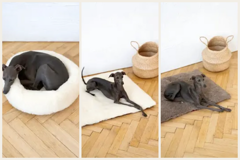 Lyx Hundsovpaket – Fårskinnsmåtta & Rund Säng