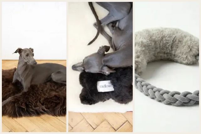 Storras Komplett Paket – Säng, Leksak & Guide