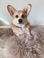 Square or Rectangular Natural Sheepskin Pet Mat - Greige-4