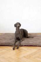 Square or Rectangular Natural Woolen Pet Mat - Beige-2