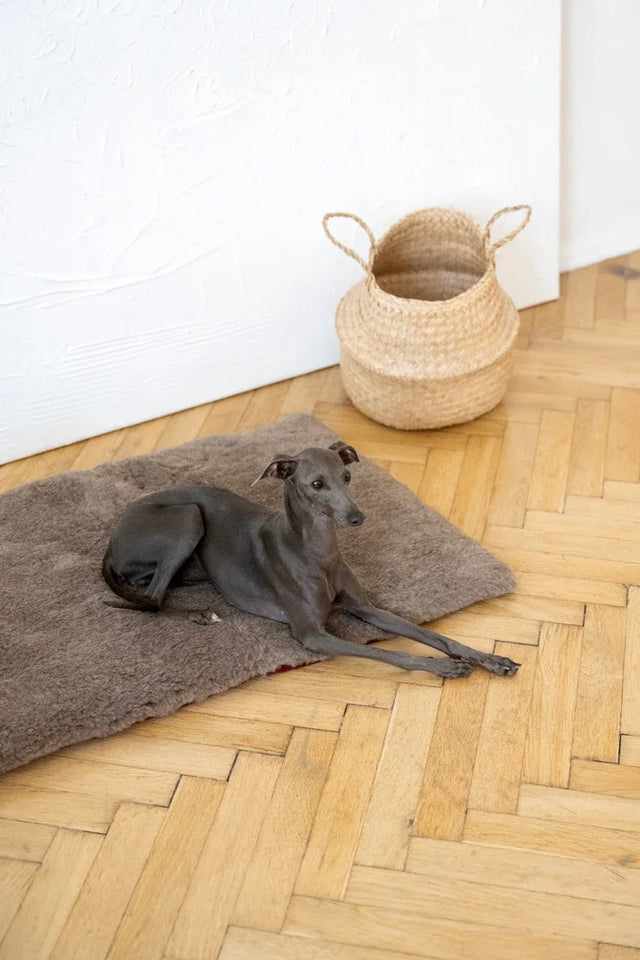 Square or Rectangular Natural Woolen Pet Mat - Beige-0