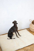Square or Rectangular Natural Woolen Pet Mat - White-1