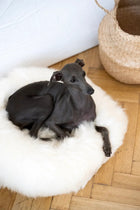 Round Natural Sheepskin Pet Bed - White-3