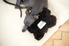Natural Sheepskin Dog Toy - Bone - Black-2